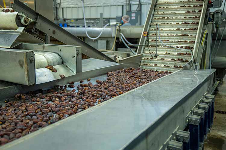 Food processing synchronized clock system